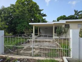 Apartment for Rent St. James, Montego Bay