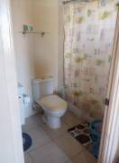 House for Rent Trelawny, Falmouth