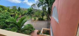 Apartment for Rent St. James, Montego Bay