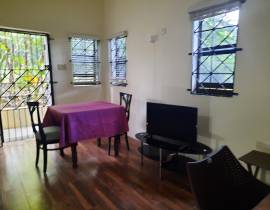 House for Rent Trelawny, Falmouth