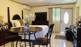 Apartment for Rent St. James, Montego Bay