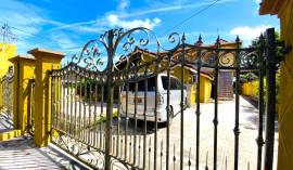 Apartment for Rent St. James, Montego Bay