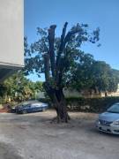 Apartment for Rent Kingston & St. Andrew, Kingston