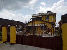 Apartment for Rent St. James, Montego Bay