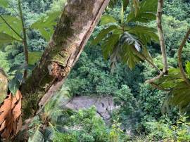 House for Rent St. Mary, Castleton