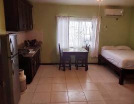 Apartment for Rent Hanover, Orange Bay