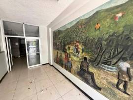 Commercial Bldg/Offices for Rent Kingston & St. An