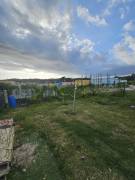 House for Rent Hanover, Green Island