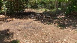 House for Rent Clarendon, Longville Park