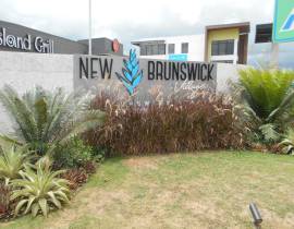 Warehouse for Rent St. Catherine, Spanish Town