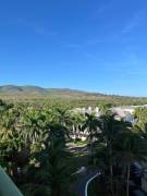 Apartment for Rent St. James, Montego Bay