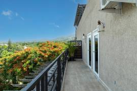 Apartment for Rent Kingston & St. Andrew, Kingston