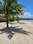Resort Apartment/Villa for Rent St. Ann, Drax Hall